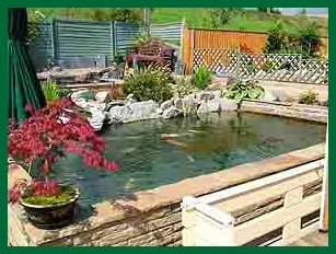 James's Pond