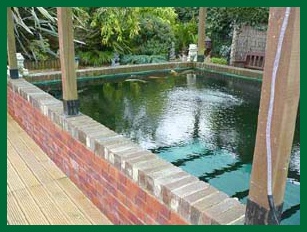 David's Pond